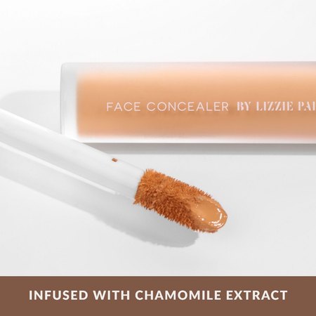 Face Concealer Honey 4