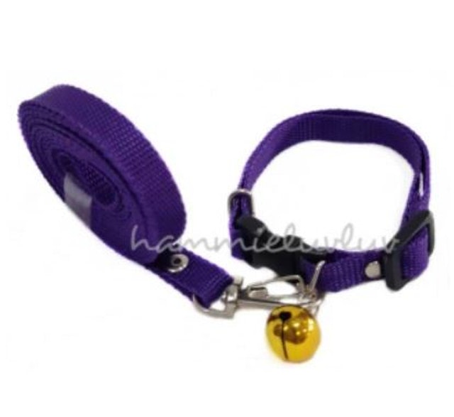 Dog Collar + Leash 1 cm