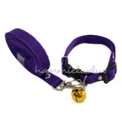 Dog Collar + Leash 1 cm