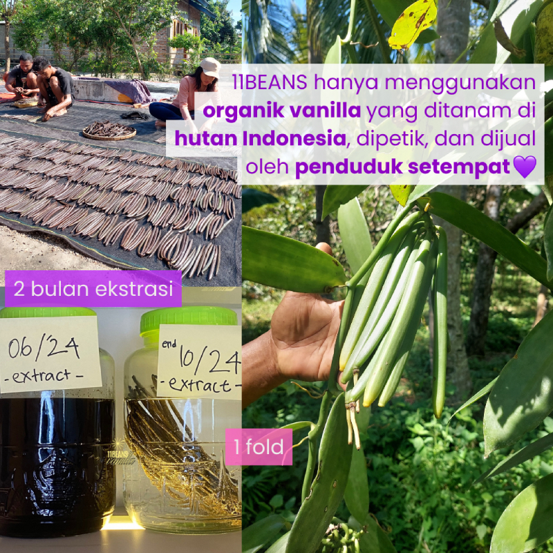  11BEANS Vanilla Homemade Forest Vanilla Extract 20 ml 