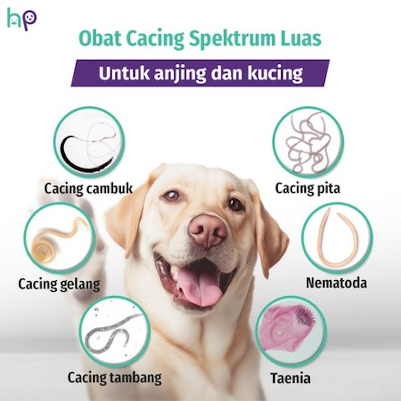 Hegen Pet Wormrid 5