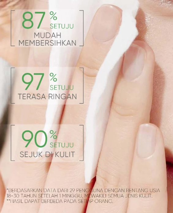 SKINTIFIC Cosmetics SKINTIFIC Mugwort Purifying Micellar Water