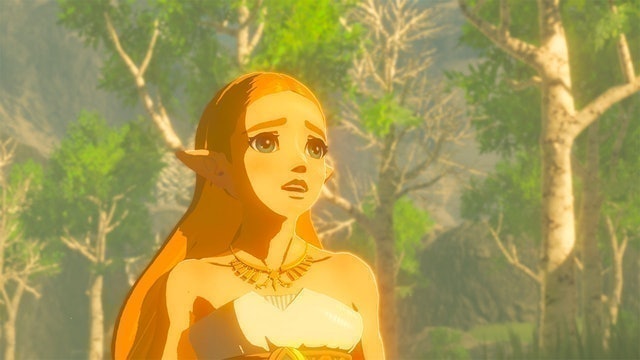 The Legend of Zelda: Breath of the Wild 3