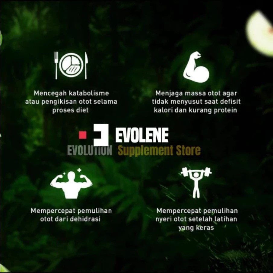 Anugrah Inti Makmur Indonesia Evolene BCAA  Pro Series