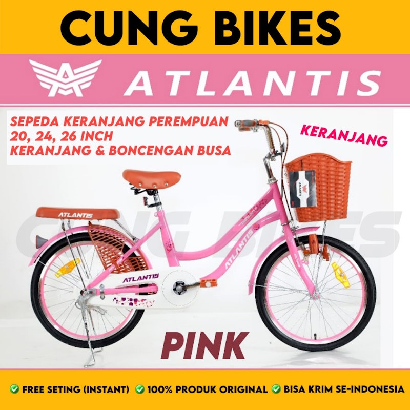 Phoenix Sepeda Keranjang Dewasa NP-8825 AT