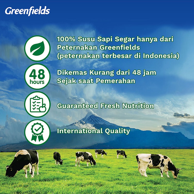 Greenfields Yogurt Cup Plain 4