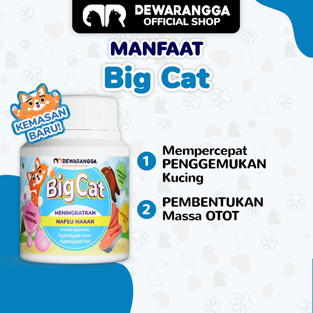 Dewarangga Cattery Big Cat 4