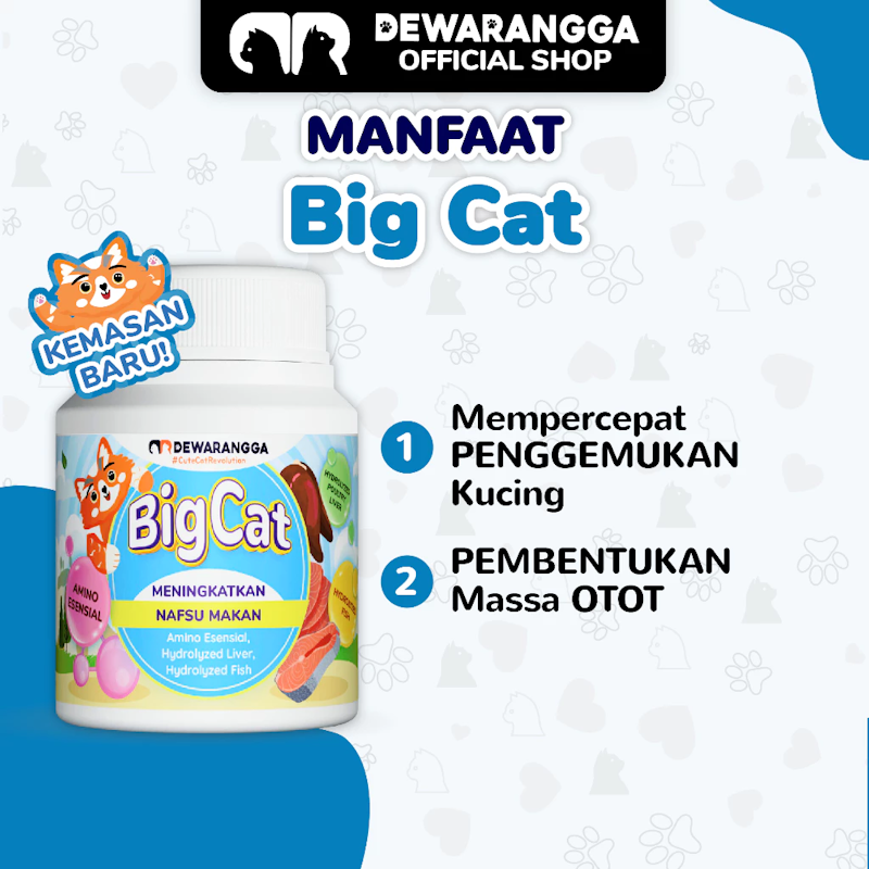 Dewarangga Cattery Big Cat 4