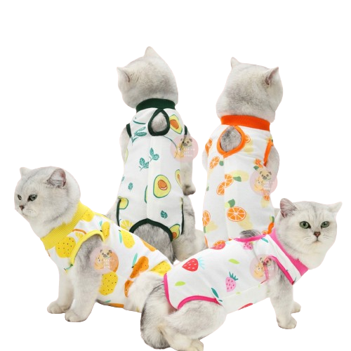 Baju Kucing Untuk Recovery