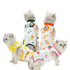 Baju Kucing Untuk Recovery