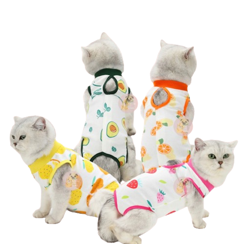 Baju Kucing Untuk Recovery 1