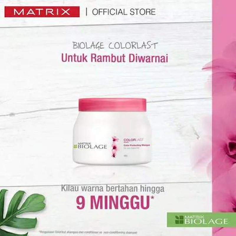 Colorlast Color Protecting Masque 4
