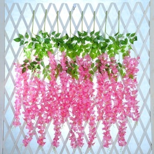 Wisteria Jumbo Daun Rambat 2