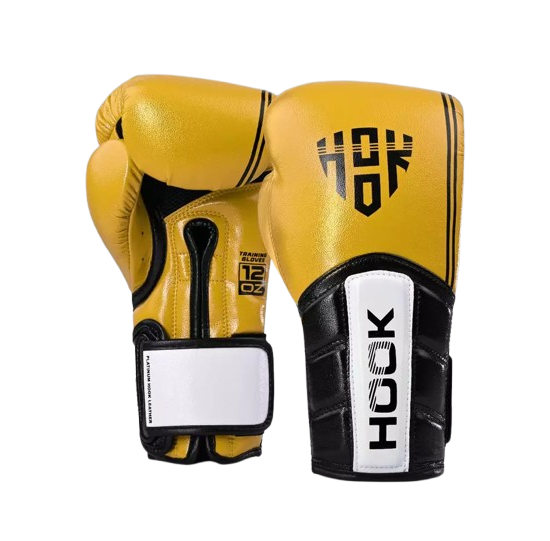 Hook Boxing Gloves HTG Fancy