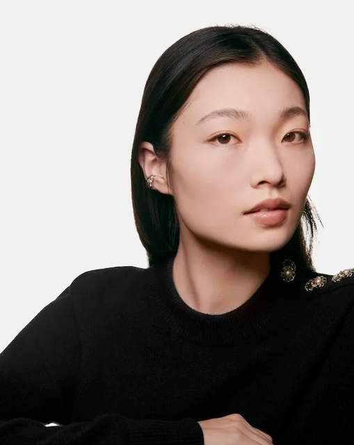 Chanel Poudre Universelle Libre