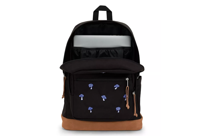 JanSport Right Pack 4
