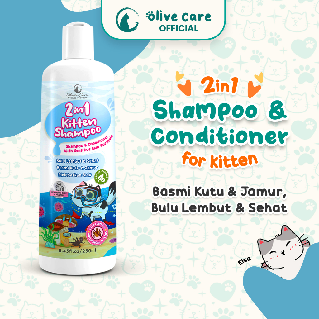 Olive Maju Abadi Olive Care 2in1 Kitten Shampoo