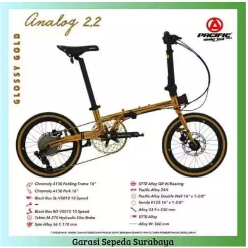Pacific Analog 2.2 Folding Bike 20 Inch 2