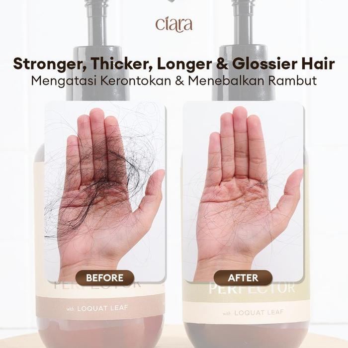 Ciara Ciara Hair Wash Perfector with Loquat Leaf Shampoo