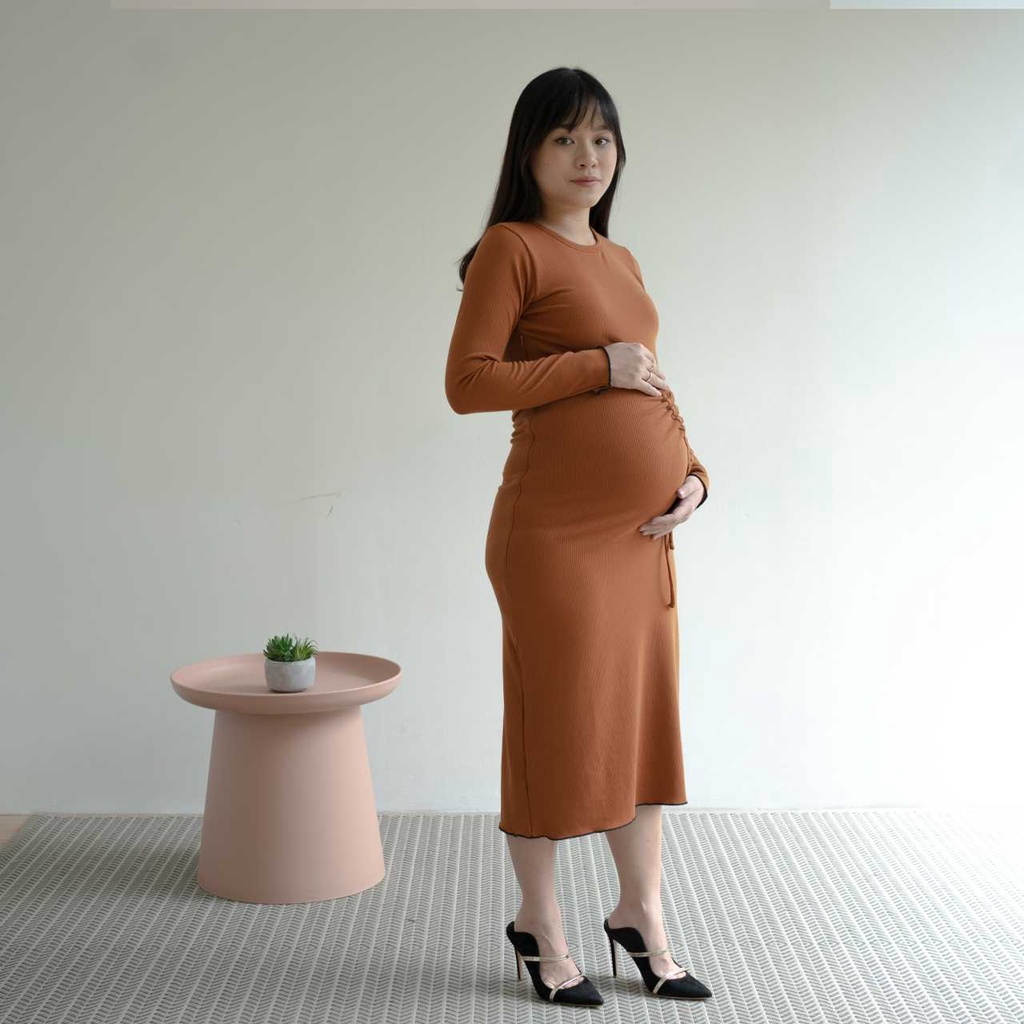 Hellomommy Gia Maternity & Nursing Dress