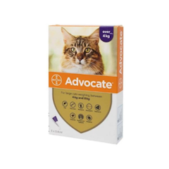Advocate™ for Large Cats
