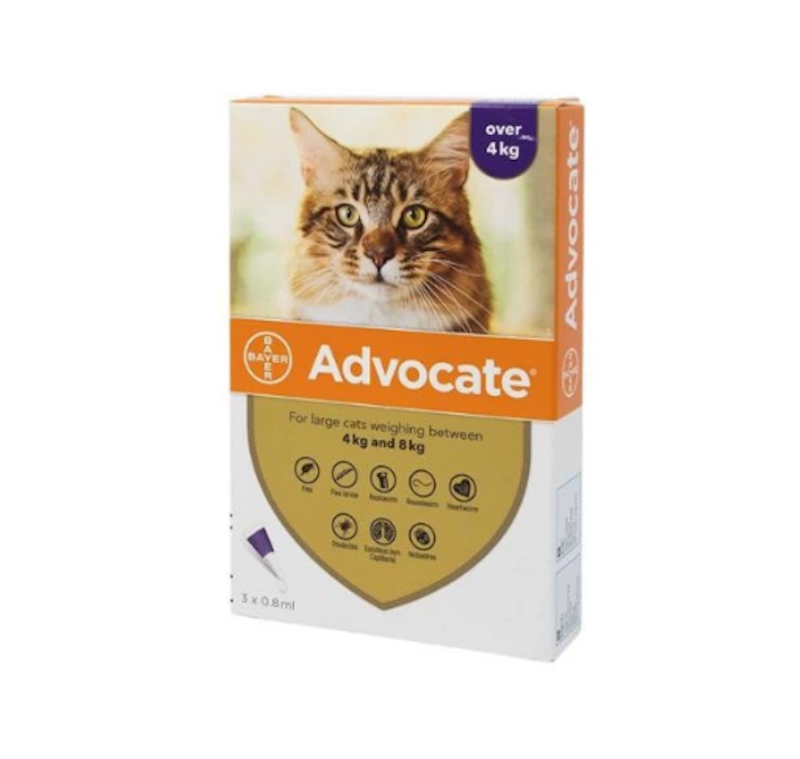 Advocate™ for Large Cats 1