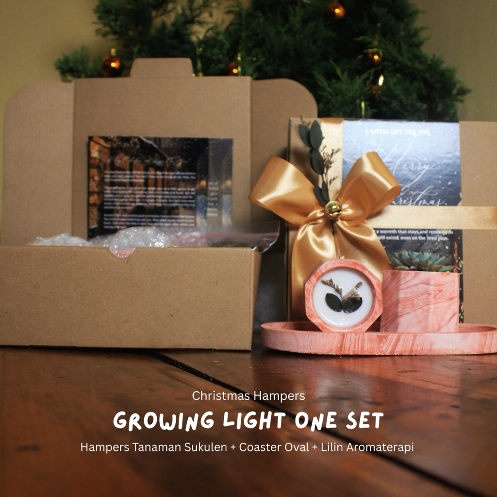 Sono Kaktus Growing Light One Set 