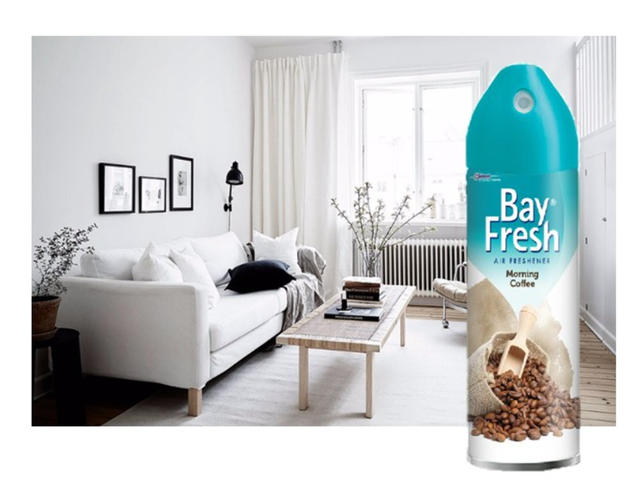 Bayfresh Aerosol Morning Coffee 3