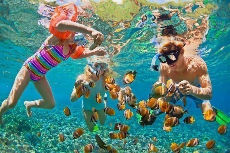 Open Trip Snorkeling Manta Bay Nusa Penida 1
