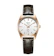 Alexandre Christie Jam Tangan Wanita - Rose Gold Brown 1
