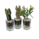 teraspot.id Terrarium Kaktus Sukulen DIY Planting Kit 1