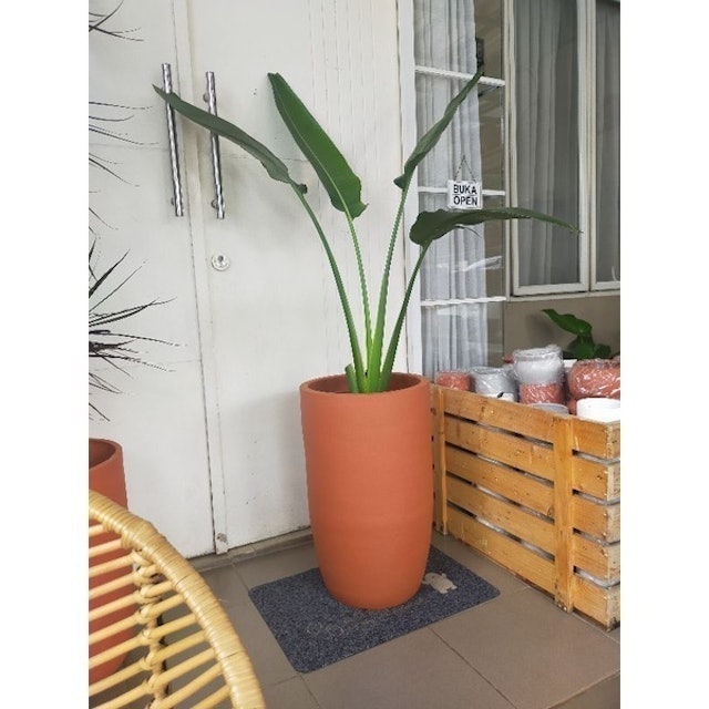 Pot tanaman terakota premium kapsul