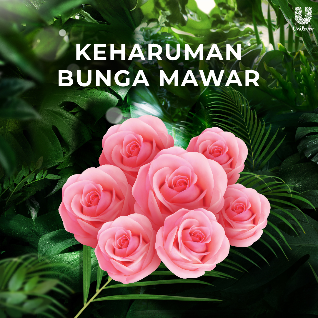 Unilever LUX® Botanicals Soft Rose Sabun Batang