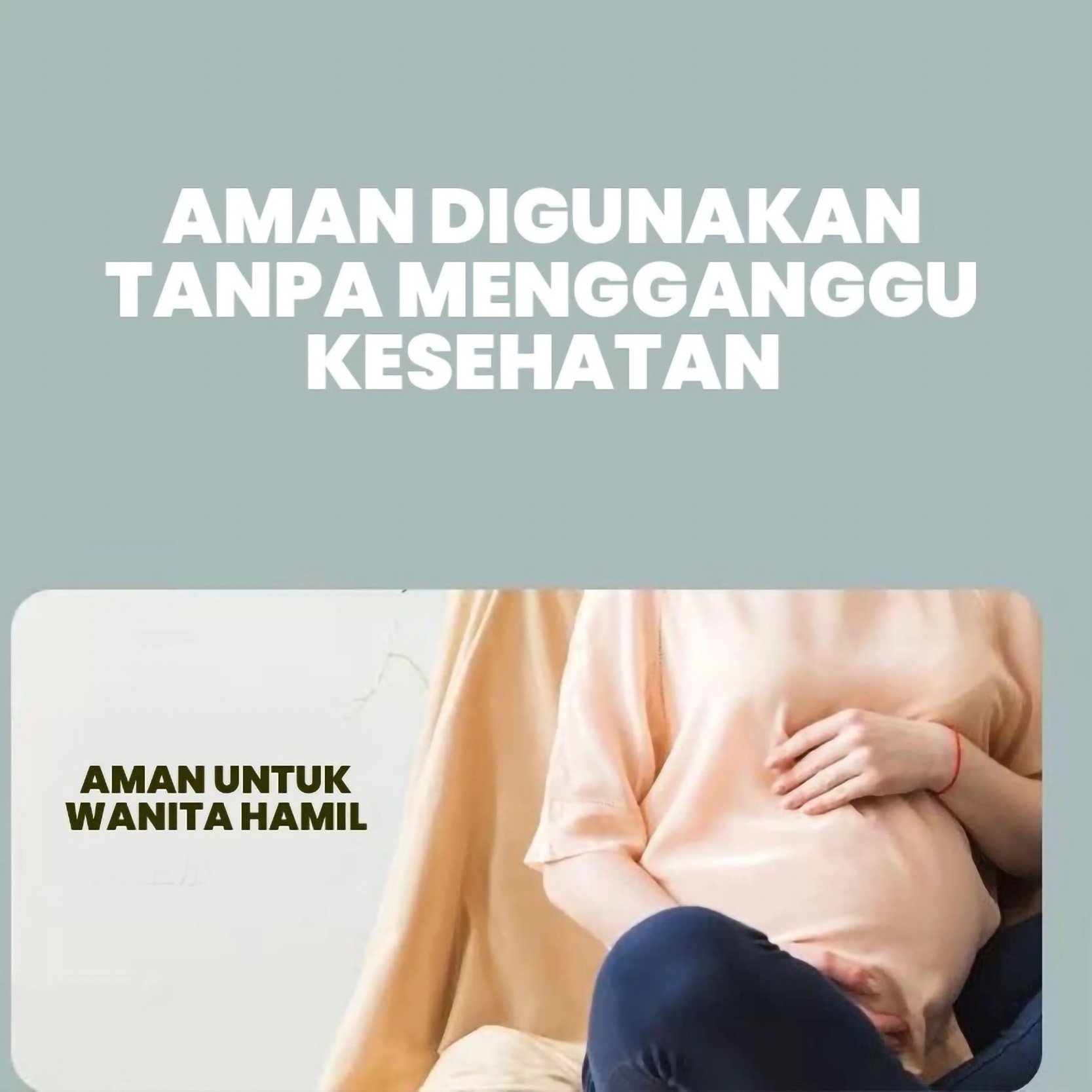 BBAK Control Panels BBAK Alat Ultrasonik Pengendali Hama