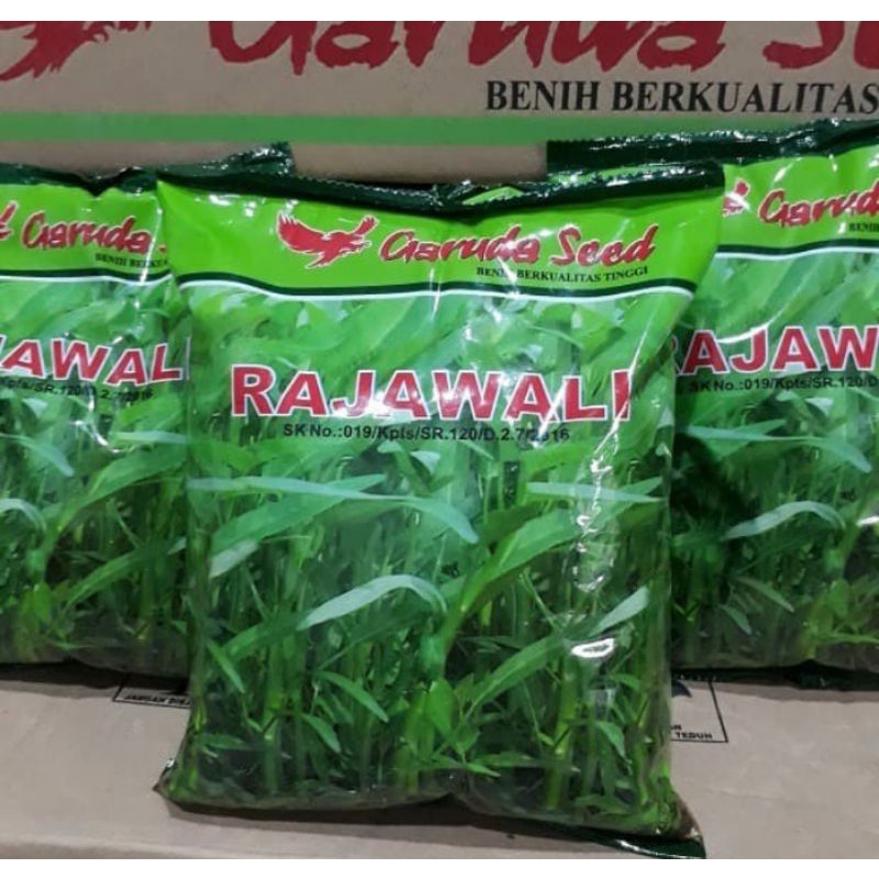 Mahatani Pertiwi Sejahtera Garuda Seed - Kangkung Unggul "RAJAWALI"