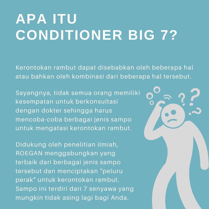 ROEGAN Big 7 Hair Booster Biotin Conditioner 2