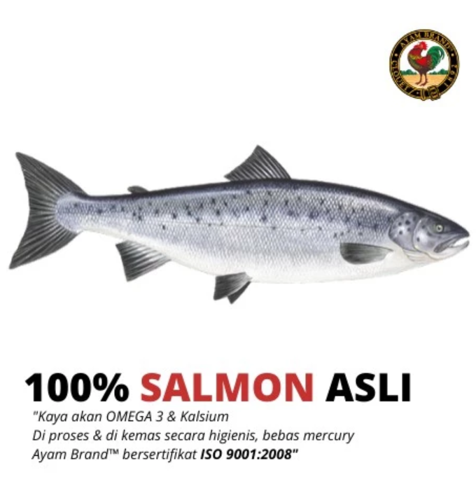 Ayam SARL Ayam Brand Salmon Spread in Mayonnaise