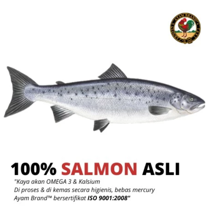 Ayam Brand Salmon Spread in Mayonnaise 2