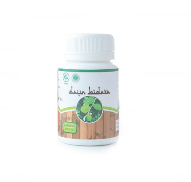Daun Bidara 1