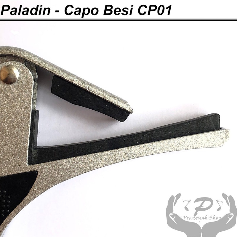 Guitar Capo 2