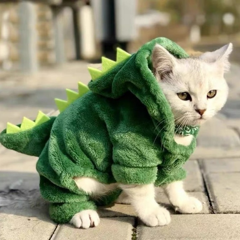 Baju Kucing Model Dinosaurus