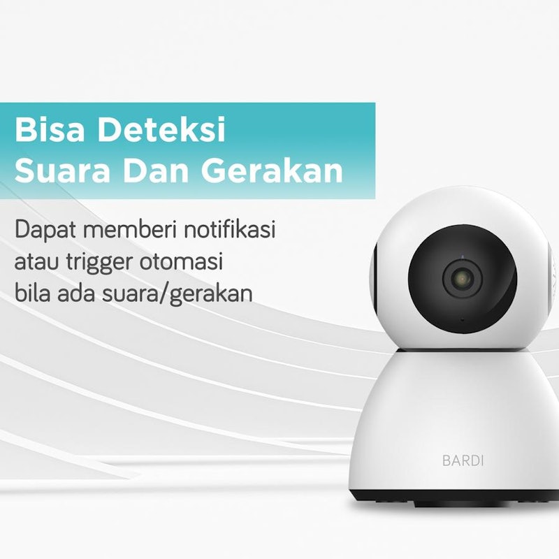 IP Camera Indoor PTZ 2