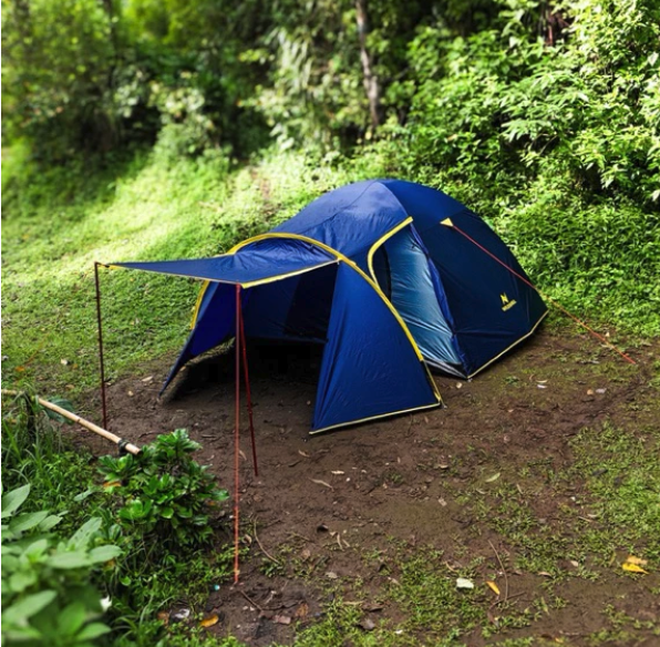 WILDSHELL WILDSHELL Mandala 6 Pro