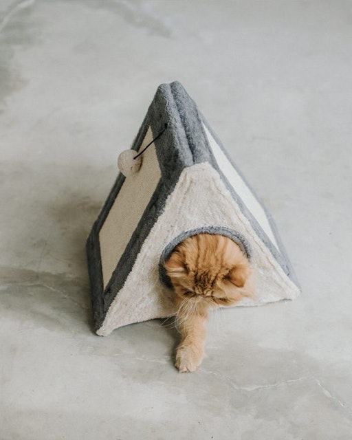 Chatte Series