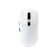 Rexus Rexus ARKA IV Mouse Gaming Wireless 1
