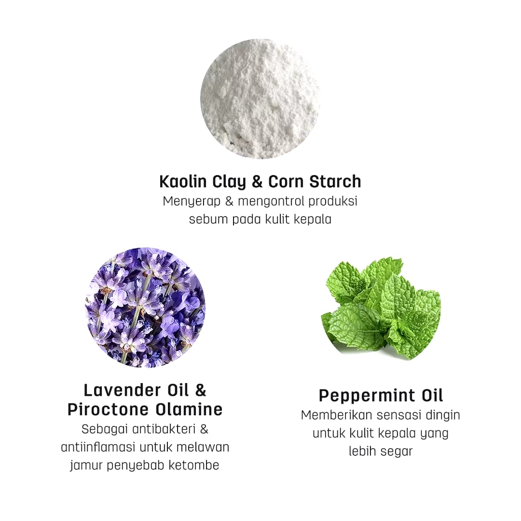 Erha Clinic Indonesia Erhair Scalperfect Dry Shampoo for Oily Scalp