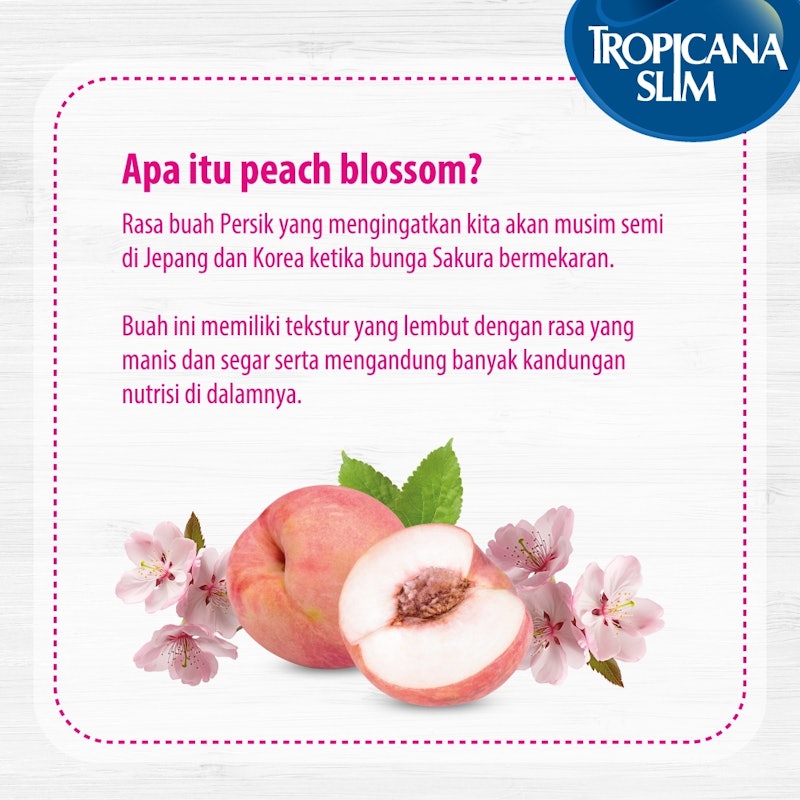 Collagen Shot Peach Blossom 190ml (4 Pcs RTD) 2