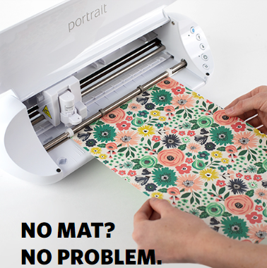 Silhouette  Portrait 3