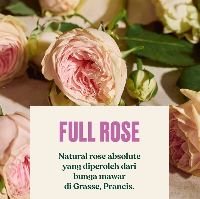 The Body Shop International The Body Shop® Full Rose Eau De Parfum