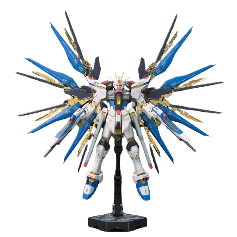 RG 1/144 Strike Freedom Gundam 1